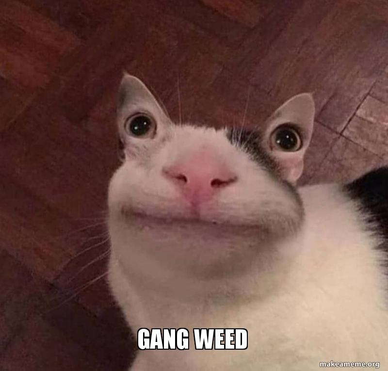 gang-weed-5b44fb.jpg