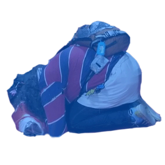 nlnvem.gif
