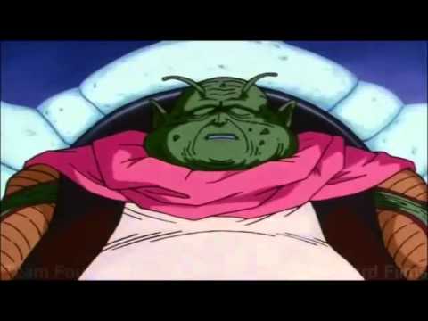 www.youtube.com