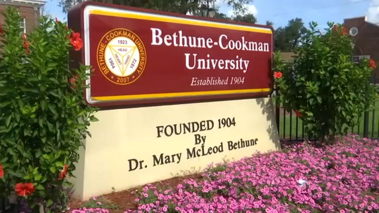 www.baynews9.com
