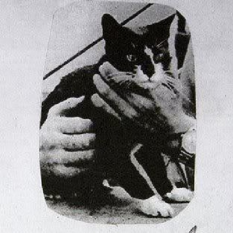 0000555449_20.jpg