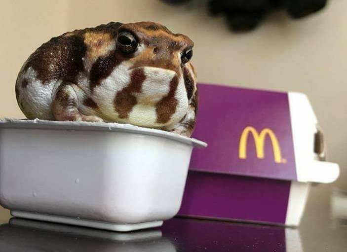26jymlbpnvf21.png