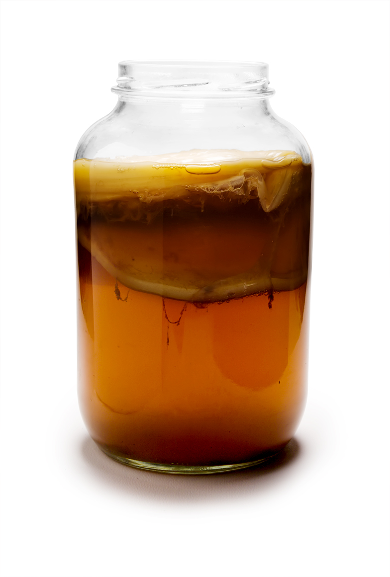 Kombucha_Mature.jpg