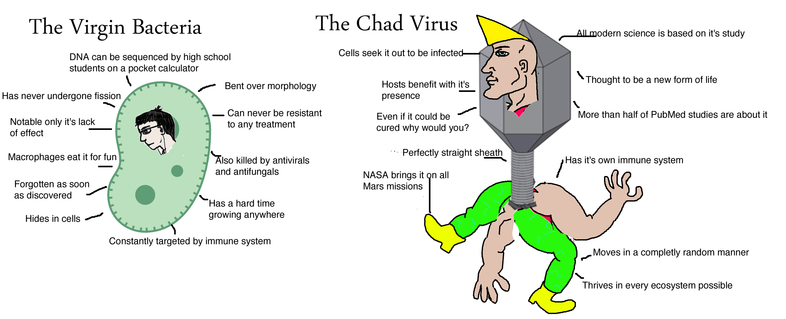1504395884350.png