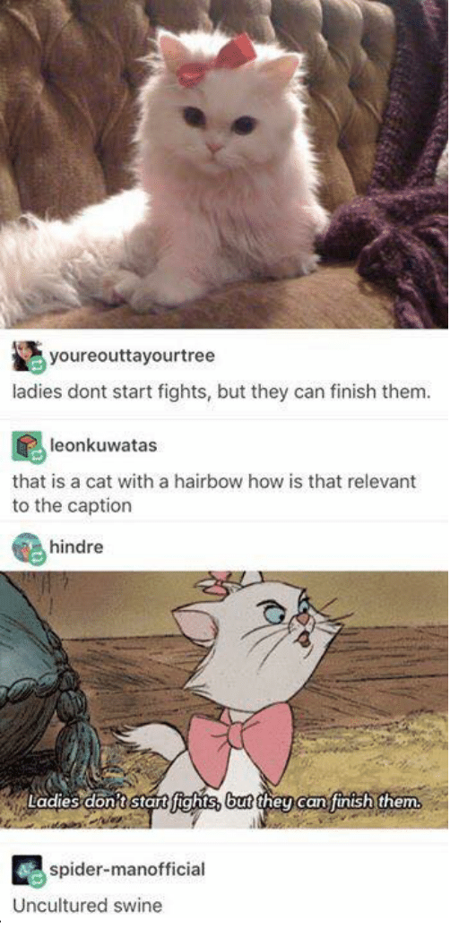 7LgQi3N.png