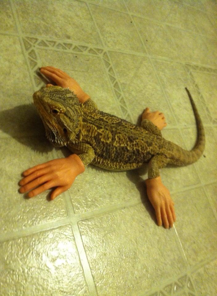 AhYYbO5.jpg