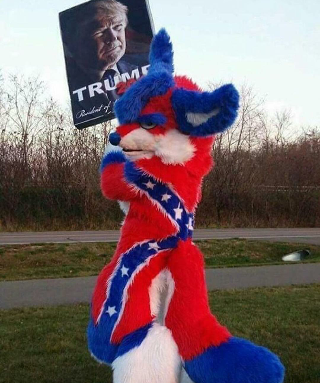 confurry.png