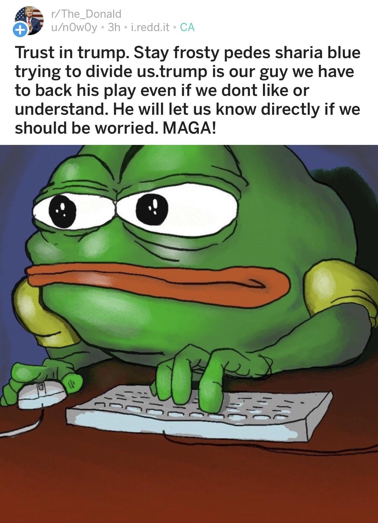 anfjx9d3m2mz.jpg