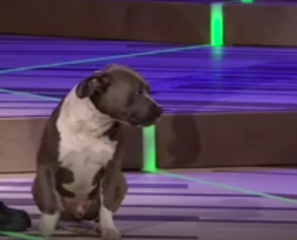 1560199286456.png