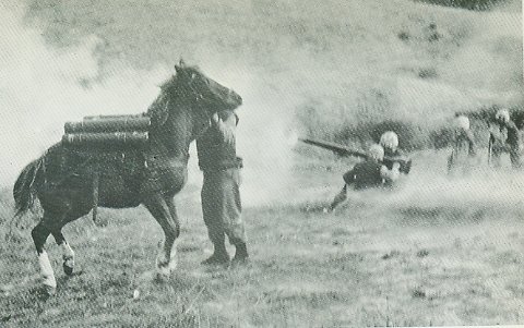 Reckless_under_fire.jpg