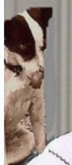60eb.png