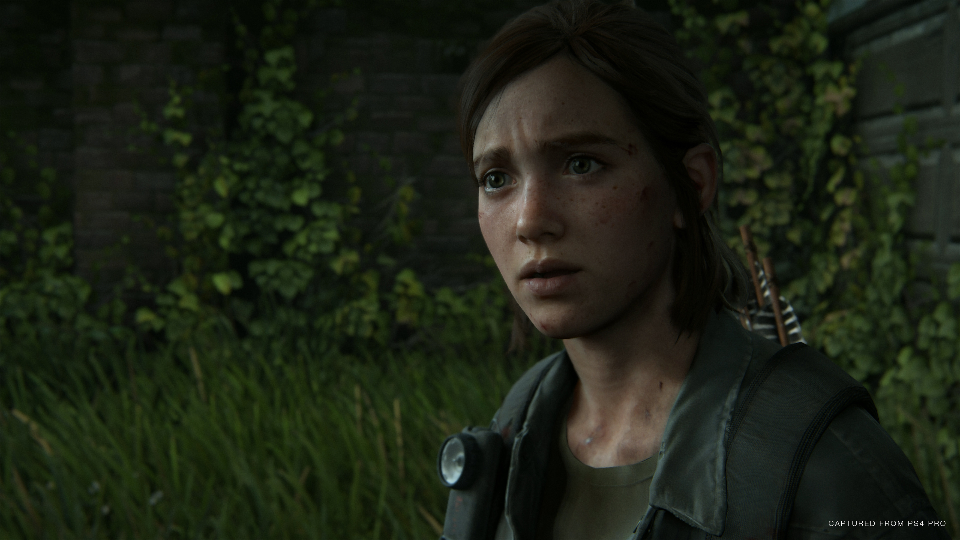 last_of_us_2_screen_09.jpg