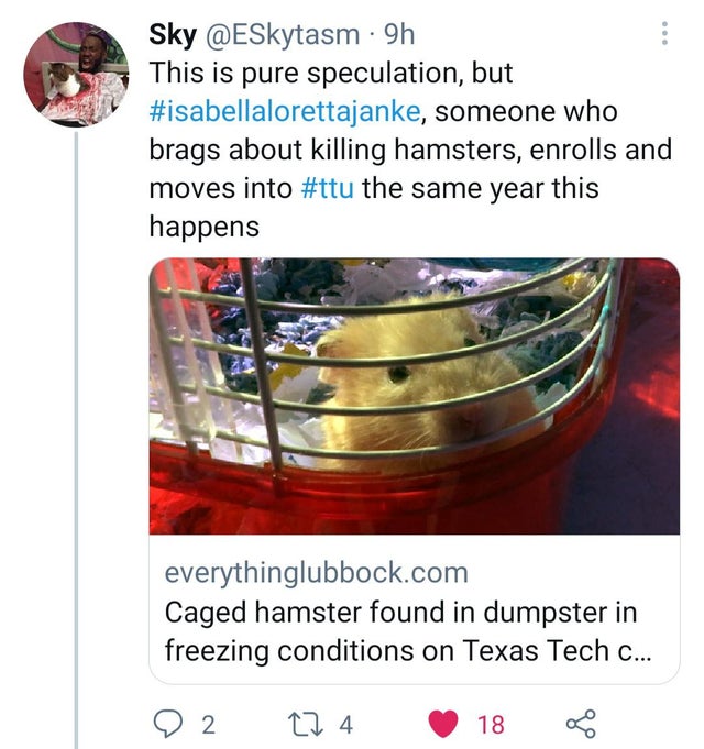 UNPdDSG.jpg