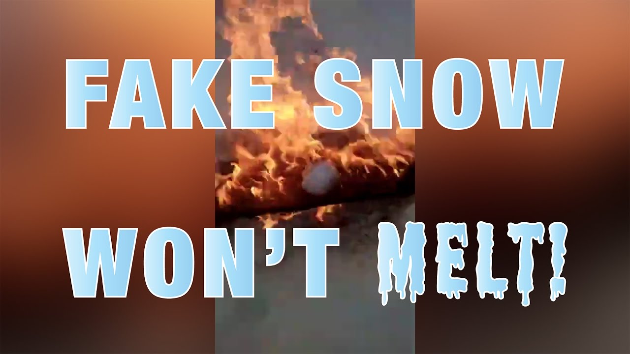 www.youtube.com