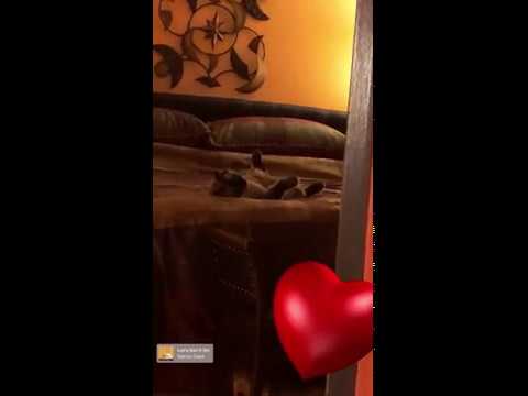 Loading video