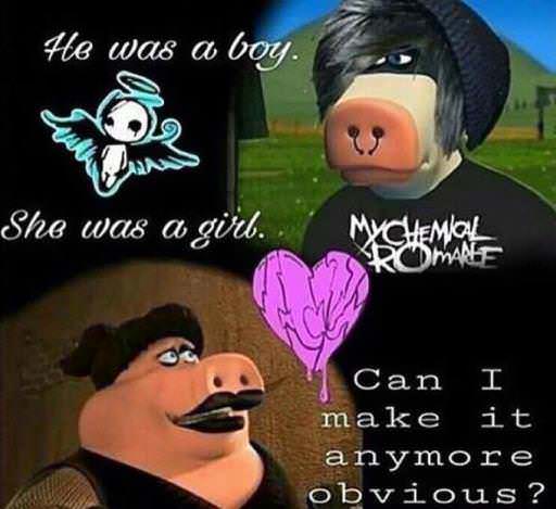 kZvTSWI.jpg