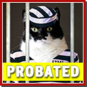 Probation Probation